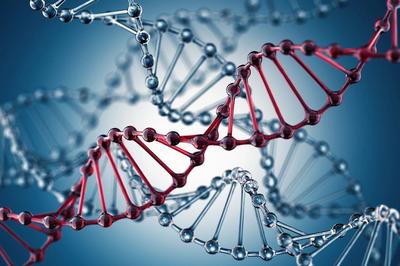 數據或成“生物炸彈”原料 跨國合作亟需筑牢生物信息安全防線